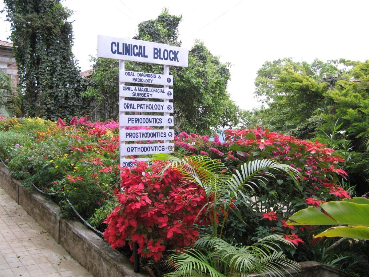 CIDS Campus Growth